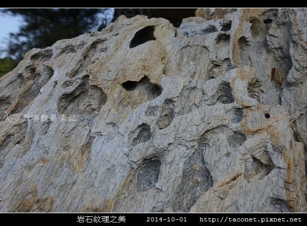 岩石紋理_05.jpg
