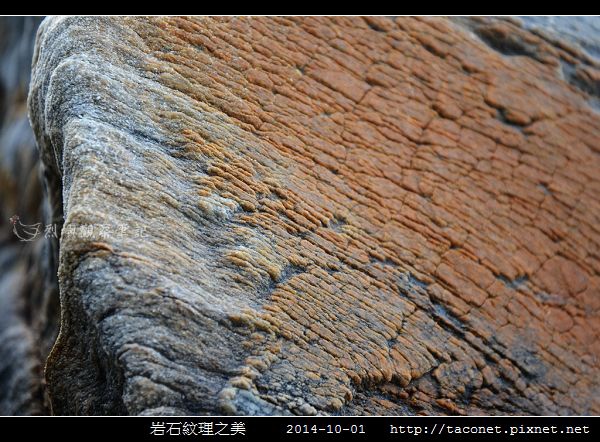 岩石紋理_10.jpg