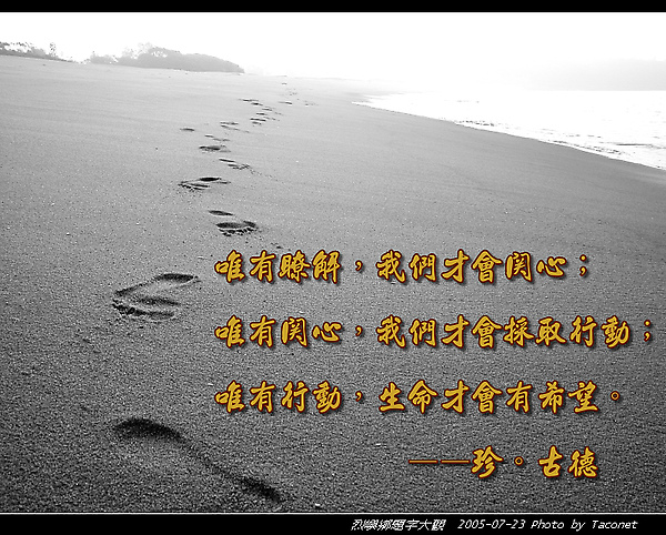 珍古德