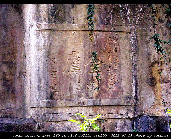金鷹附3