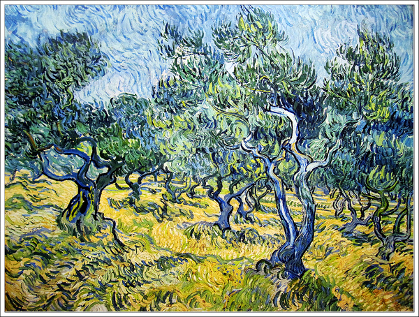 Olive Grove 1889橄欖樹叢