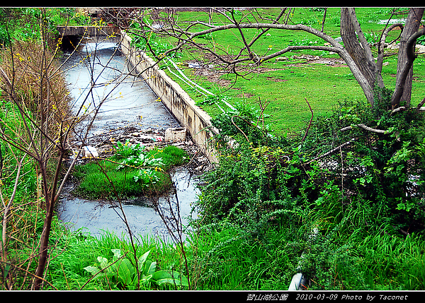 習山湖公園_12.jpg