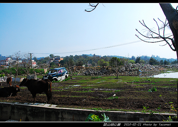 習山湖公園_22.jpg