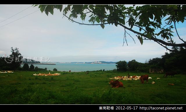 東崗沙岸相簿封面