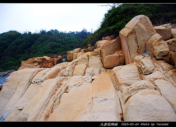 九宮花岡岩_046.jpg