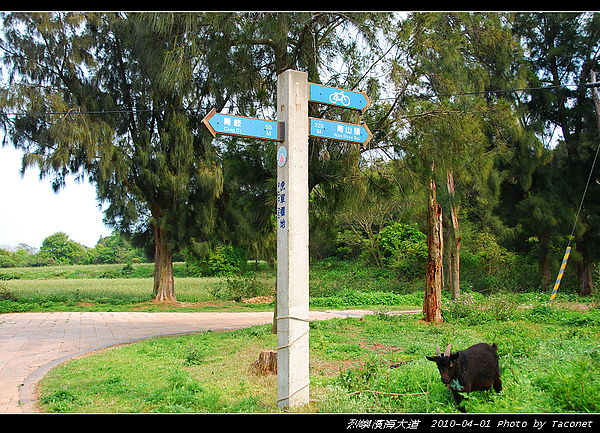 濱海大道12.3km.jpg