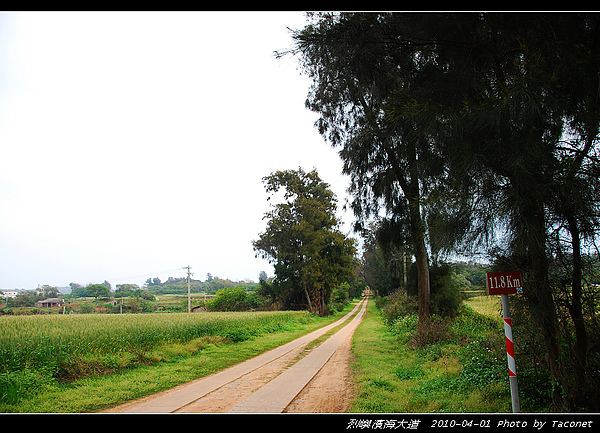 濱海大道11.8km.jpg