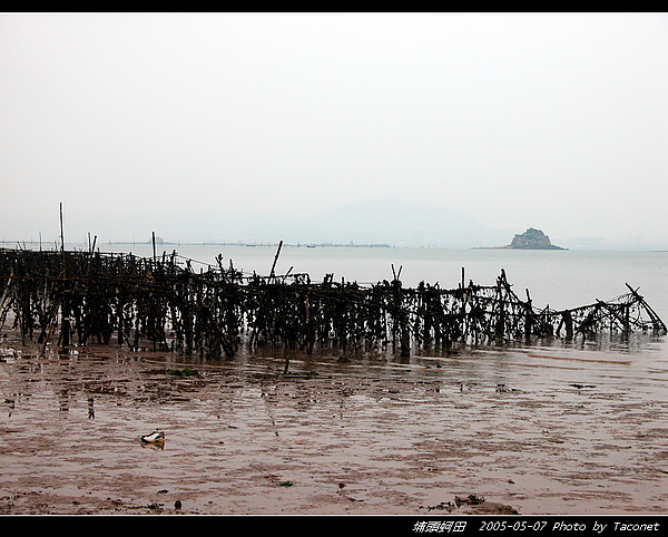 埔頭蚵田_12.jpg