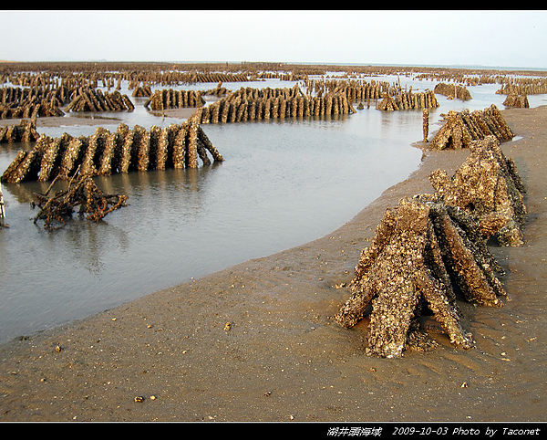 湖井頭海域_24.jpg