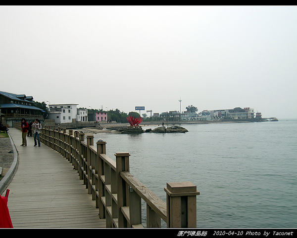 廈門環島路_10.jpg