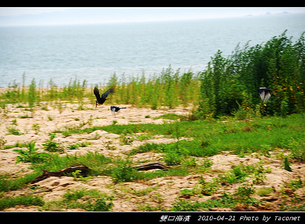 雙口海濱_05.jpg