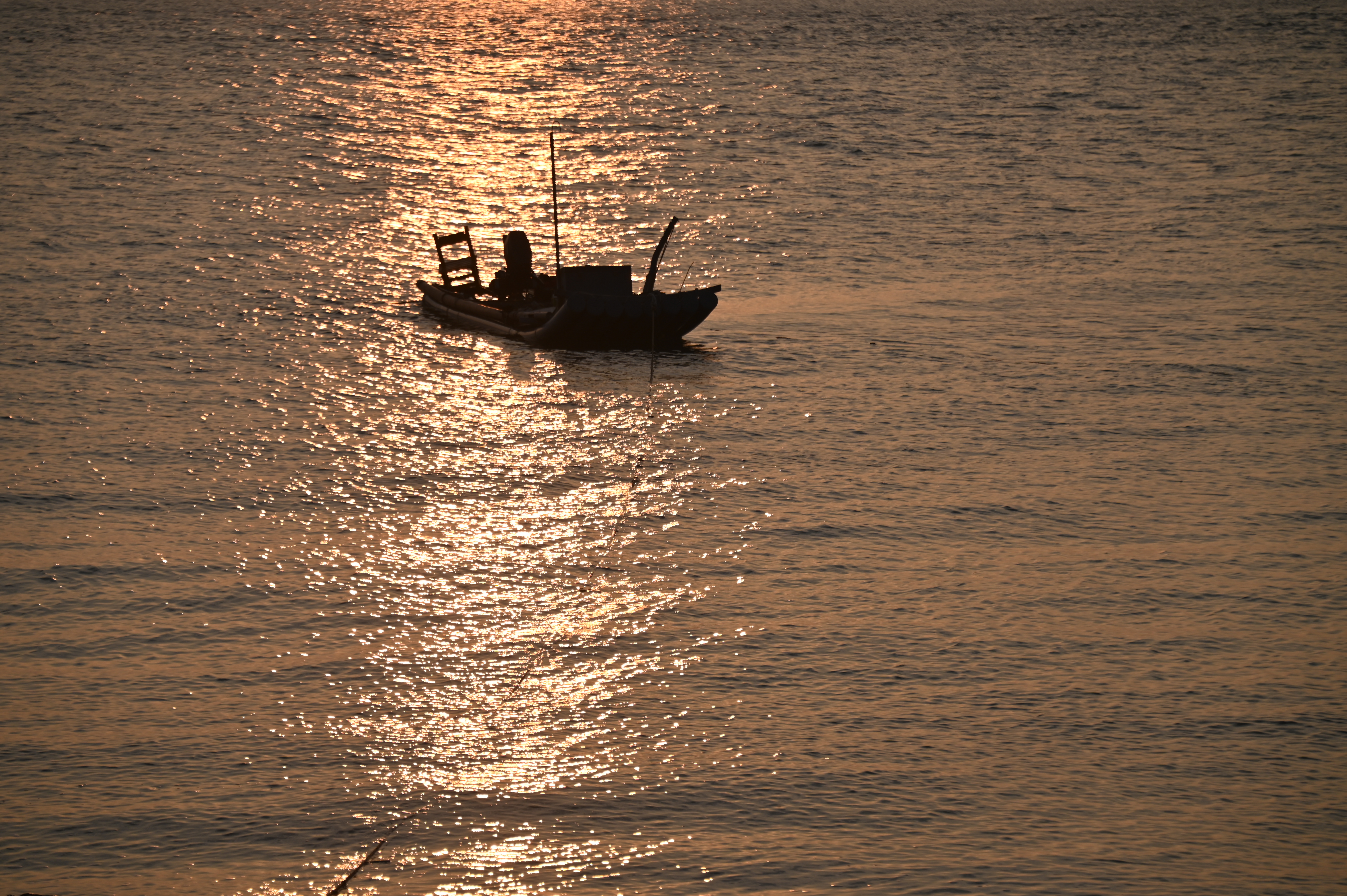DSC_1513.JPG