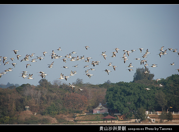 貴山沙洲景觀_67.jpg