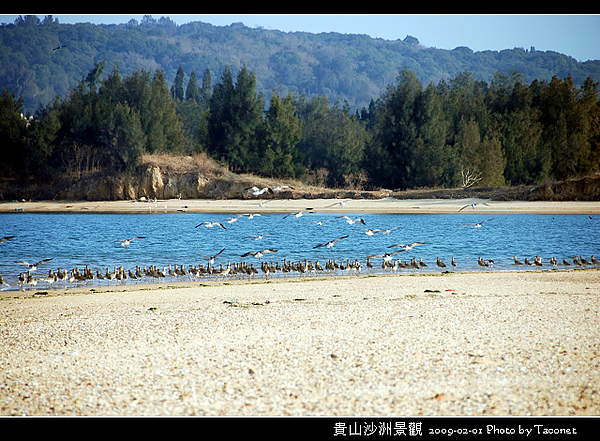 貴山沙洲景觀_66.jpg