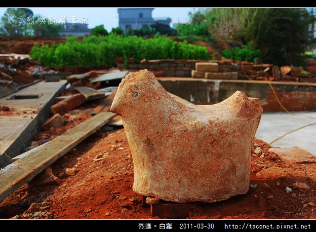 烈嶼鄉。白雞_06.jpg