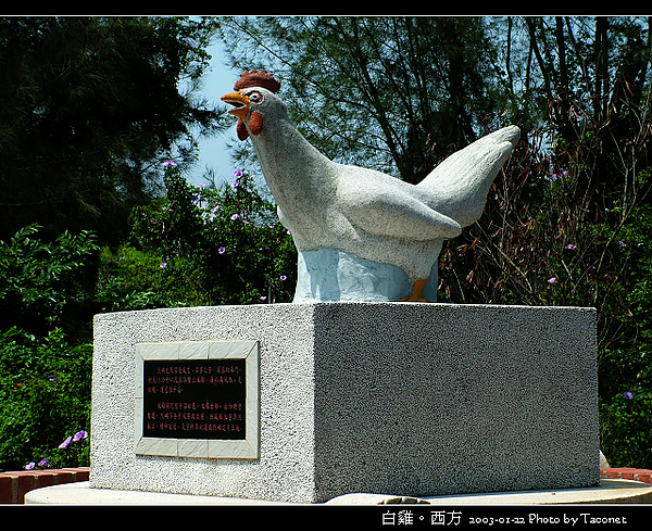 西方_4.白雞
