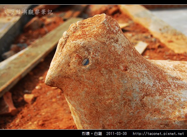 烈嶼鄉。白雞_10.jpg