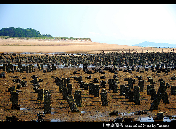 上林潮間帶_13.jpg