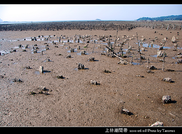 上林潮間帶_12.jpg