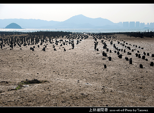 上林潮間帶_10.jpg