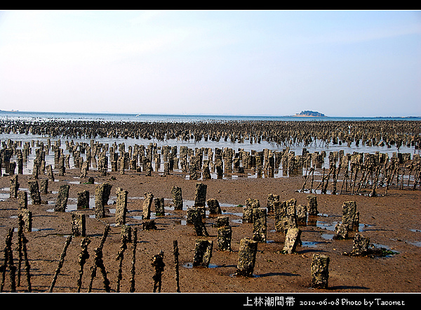 上林潮間帶_14.jpg