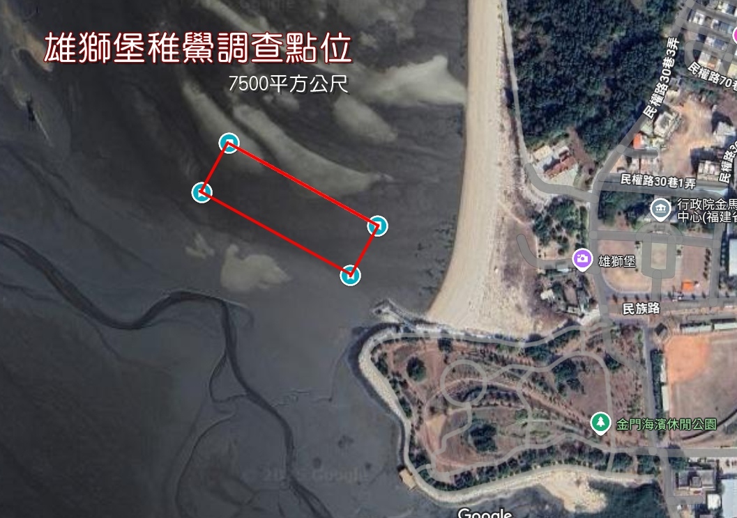 雄獅堡稚鱟調查點位.jpg