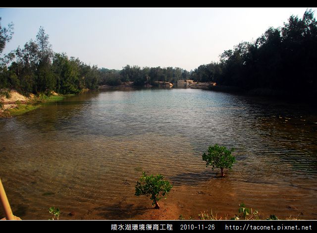 陵水湖環境復育_09.jpg