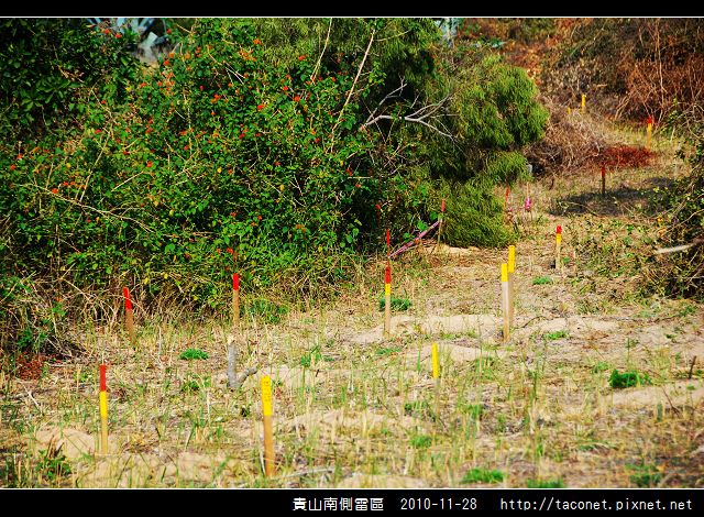 貴山南側雷區_11.jpg