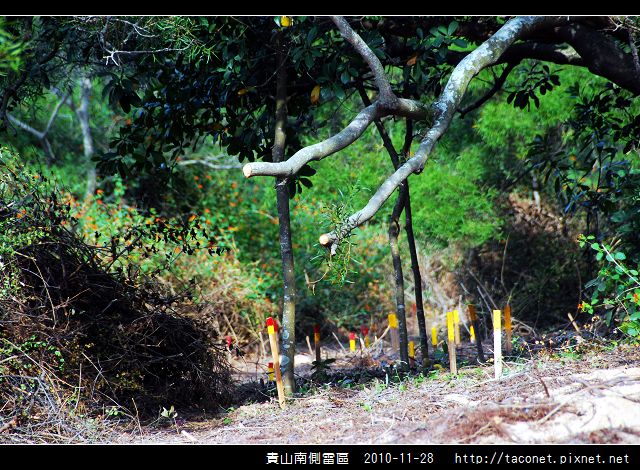 貴山南側雷區_20.jpg