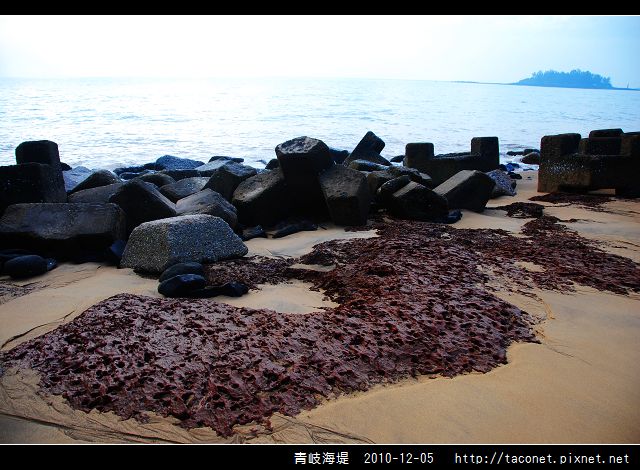 青岐海堤_20.jpg
