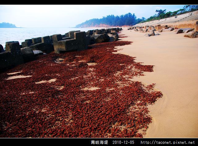 青岐海堤_19.jpg