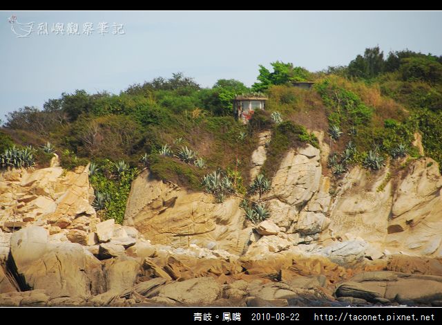 青岐。鳳嘴_31.jpg