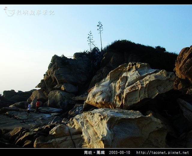 青岐。鳳嘴_38.jpg