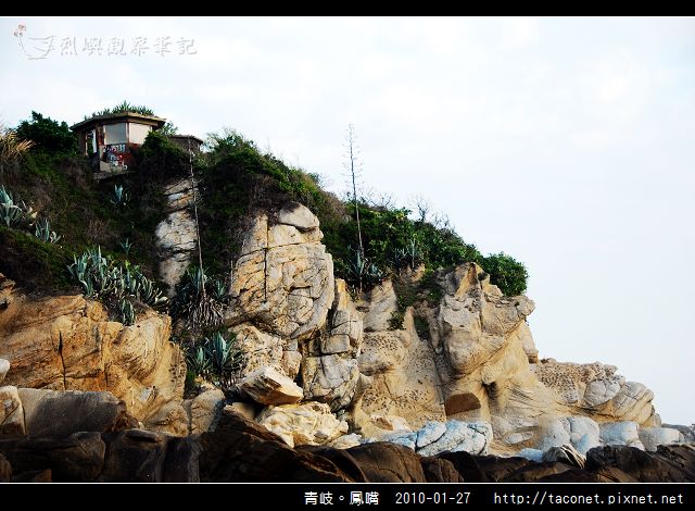 青岐。鳳嘴_11.jpg