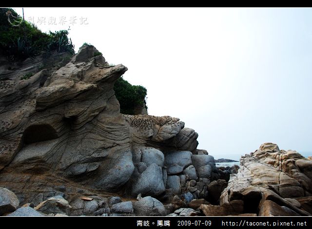 青岐。鳳嘴_04.jpg