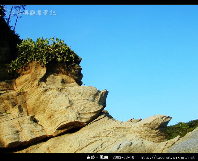 青岐。鳳嘴_37.jpg