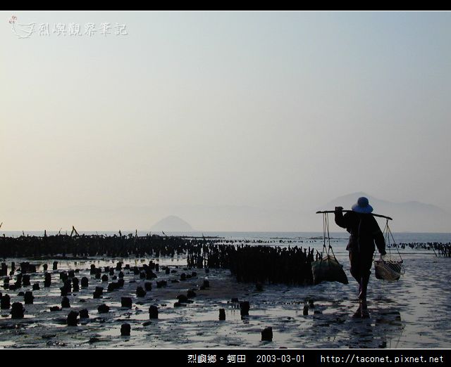 烈嶼鄉。蚵田_25.jpg