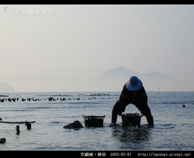 烈嶼鄉。蚵田_24.jpg