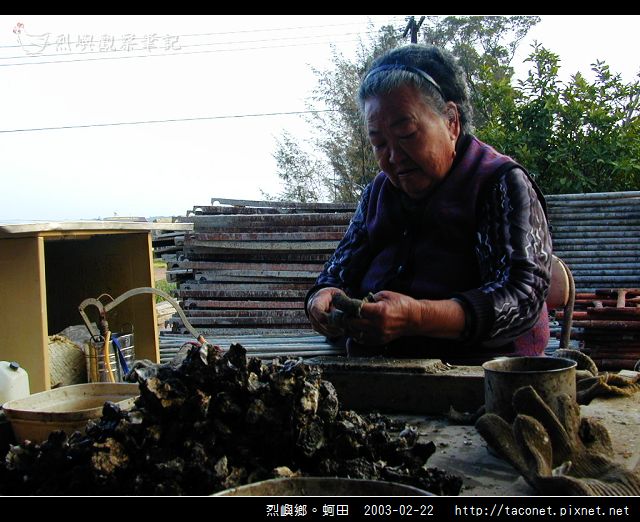烈嶼鄉。蚵田_23.jpg