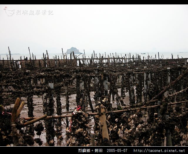 烈嶼鄉。蚵田_21.jpg