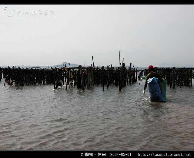 烈嶼鄉。蚵田_16.jpg