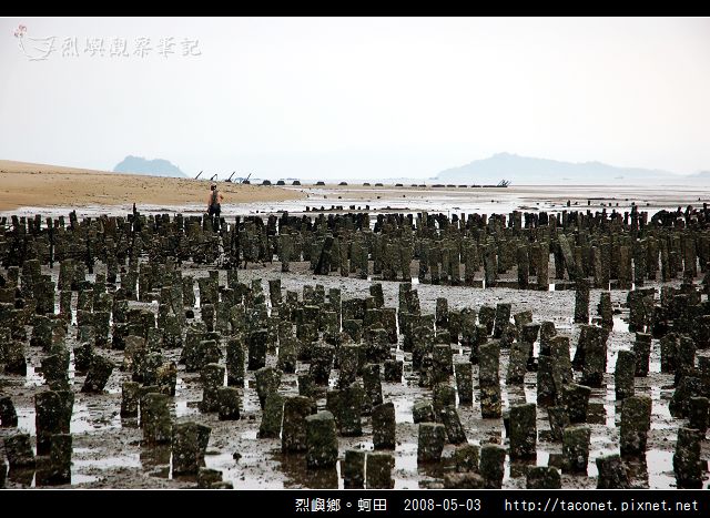 烈嶼鄉。蚵田_12.jpg