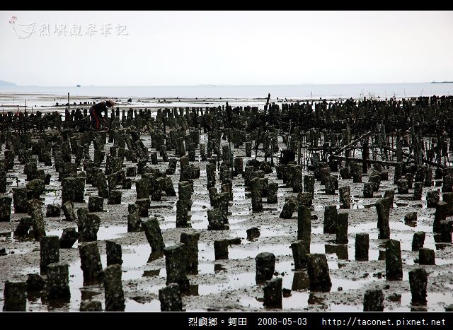 烈嶼鄉。蚵田_11.jpg