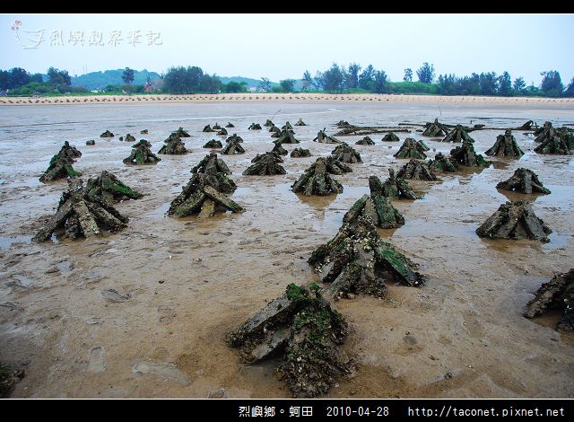 烈嶼鄉。蚵田_10.jpg
