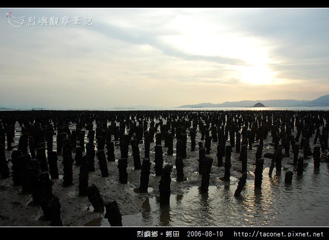 烈嶼鄉。蚵田_08.jpg
