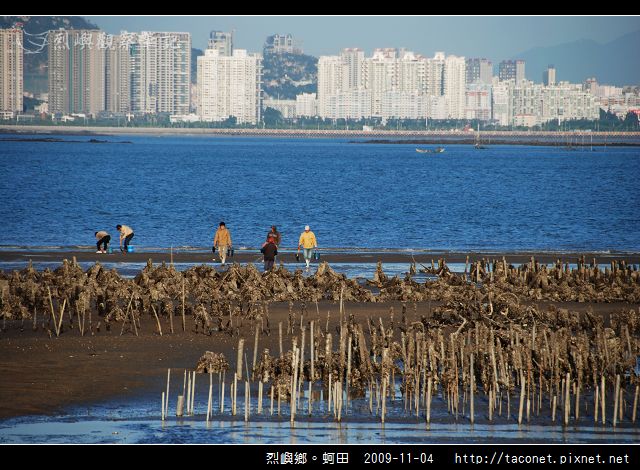 烈嶼鄉。蚵田_07.jpg