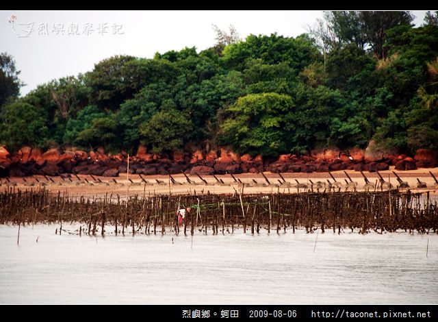 烈嶼鄉。蚵田_05.jpg