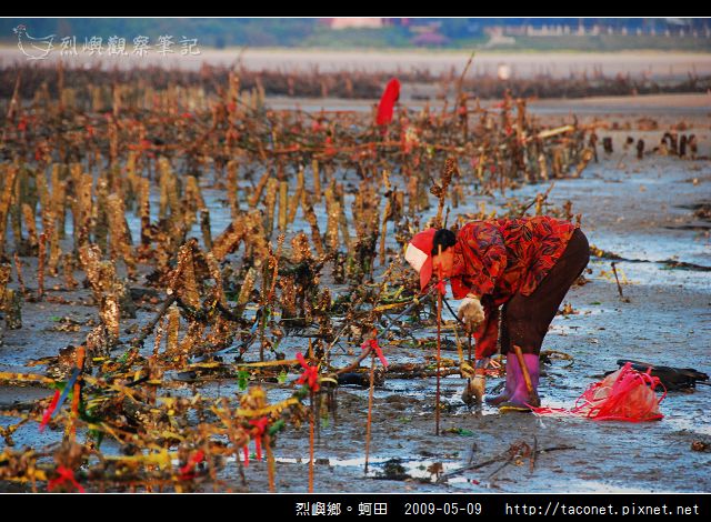 烈嶼鄉。蚵田_04.jpg