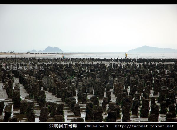 烈嶼蚵田景觀_06.jpg