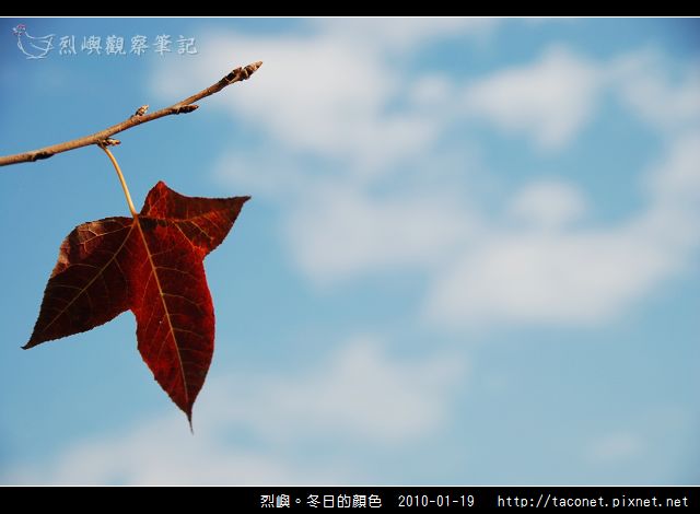 烈噢。冬日的顏色_06.jpg